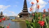 Ulun Danu Beratan, Jatiluwih Rice Terraces, and Tanah Lot Day Trip - image 6