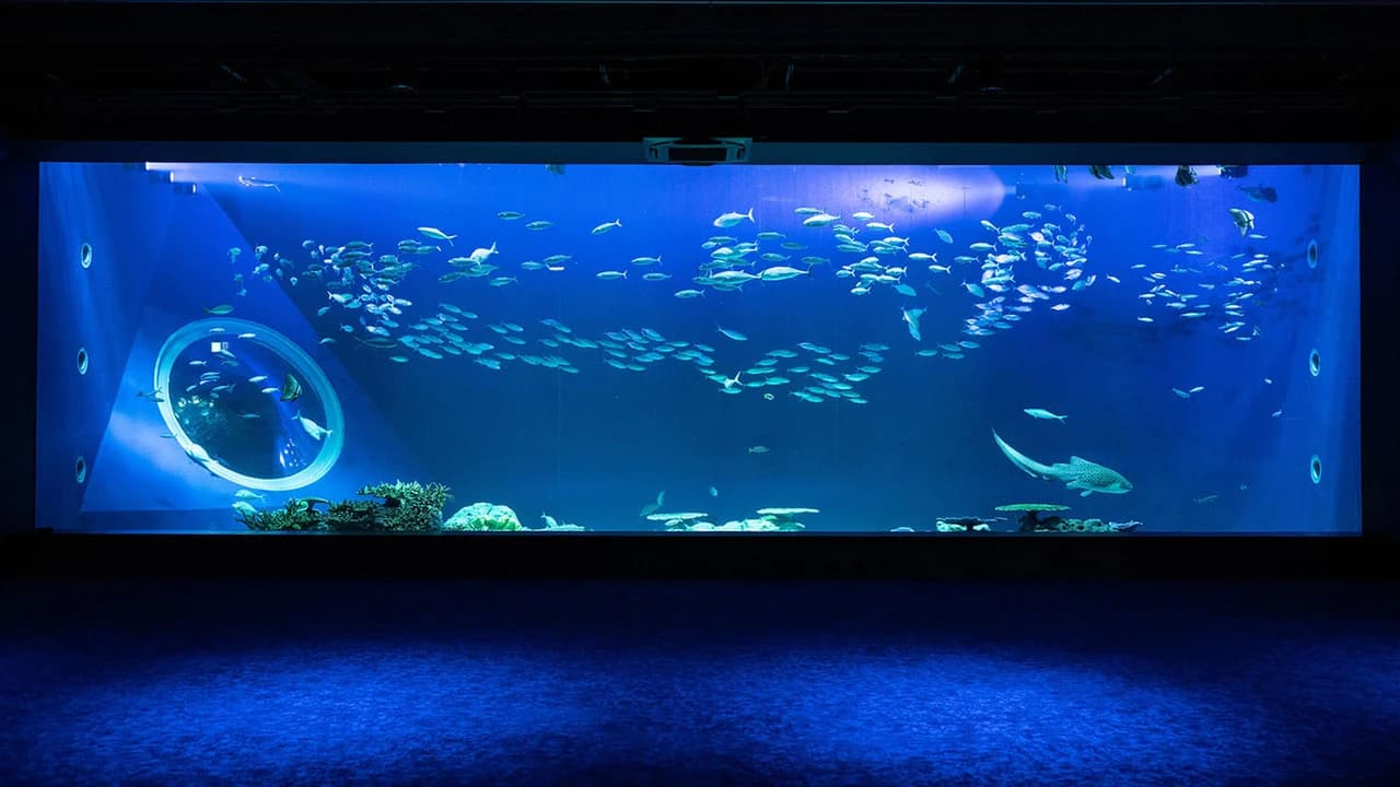 Okinawa DMM Kariyushi Aquarium - Photo 3