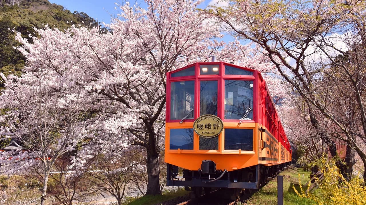 Sagano Romantic Train - Photo 1