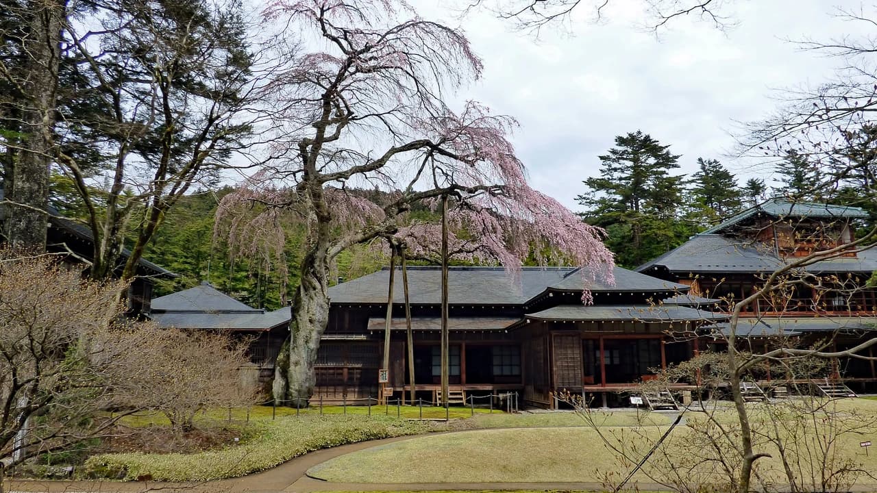 Nikko Pass - World Heritage Area - image 7
