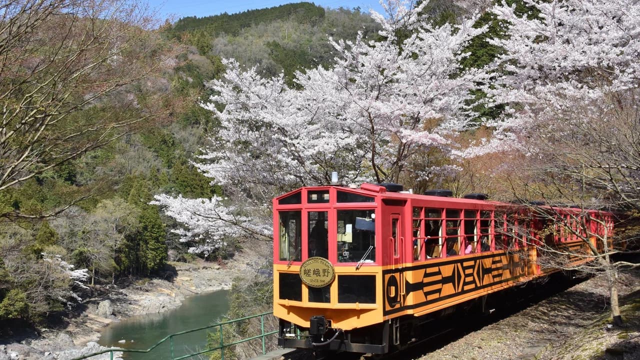 Sagano Romantic Train - Photo 3