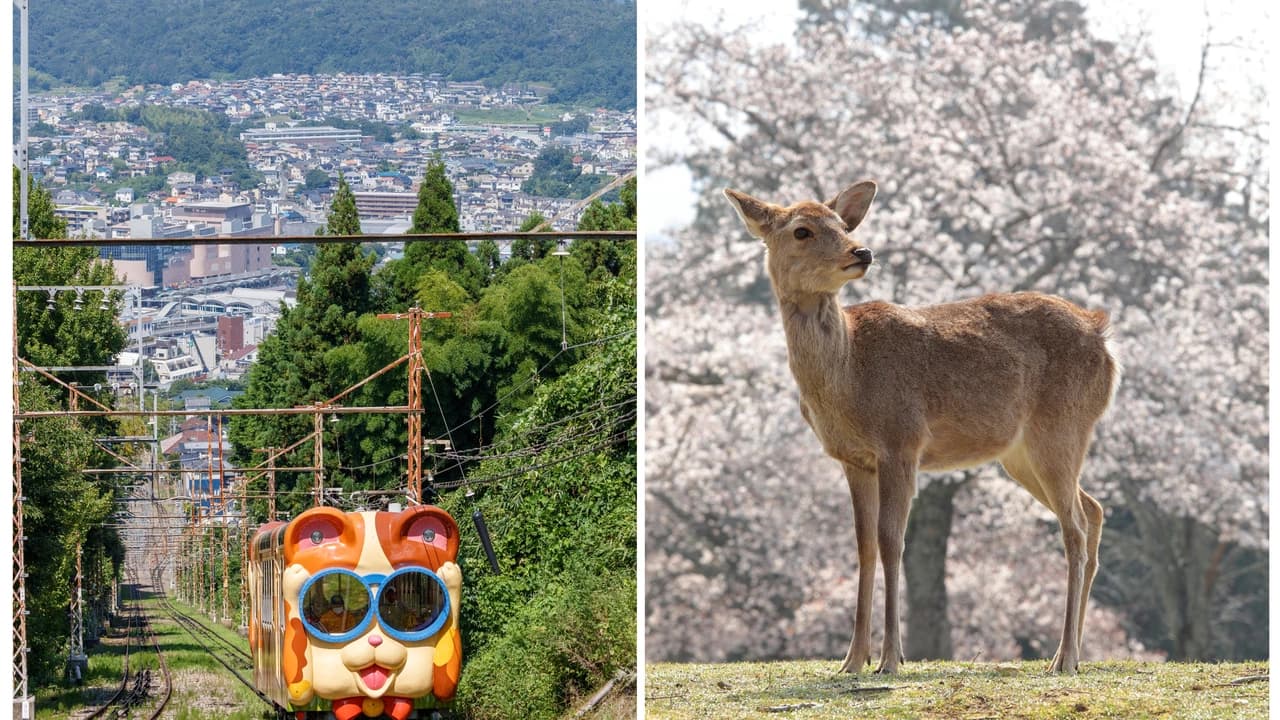 Kintetsu Rail Pass - Train & Bus Pass in Osaka, Nara, Kyoto, Mie (Ise Shima), Nagoya - Photo 1