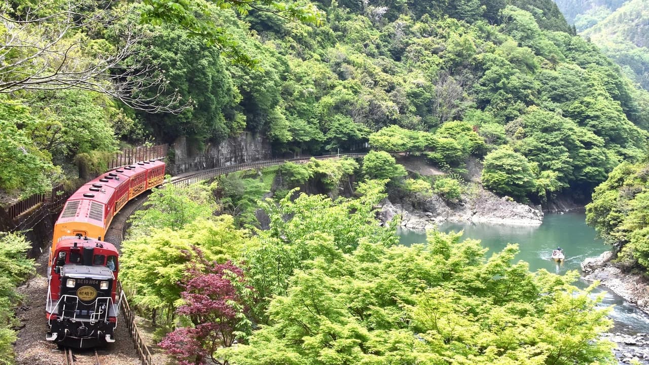 Sagano Romantic Train - image 6