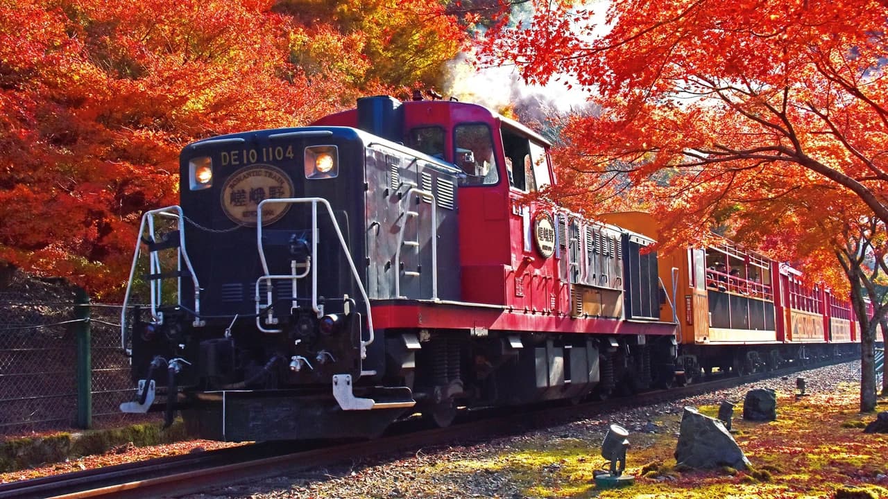 Sagano Romantic Train - image 7