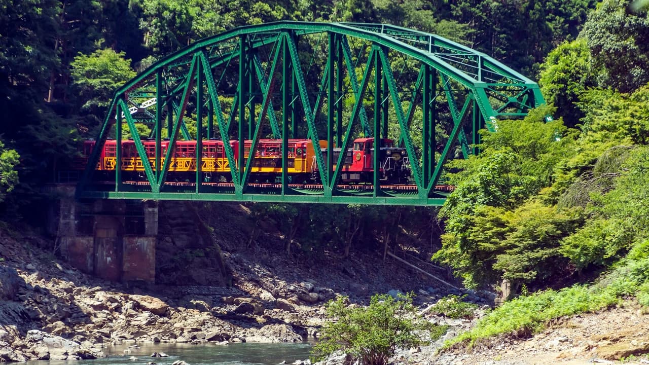 Sagano Romantic Train - image 8