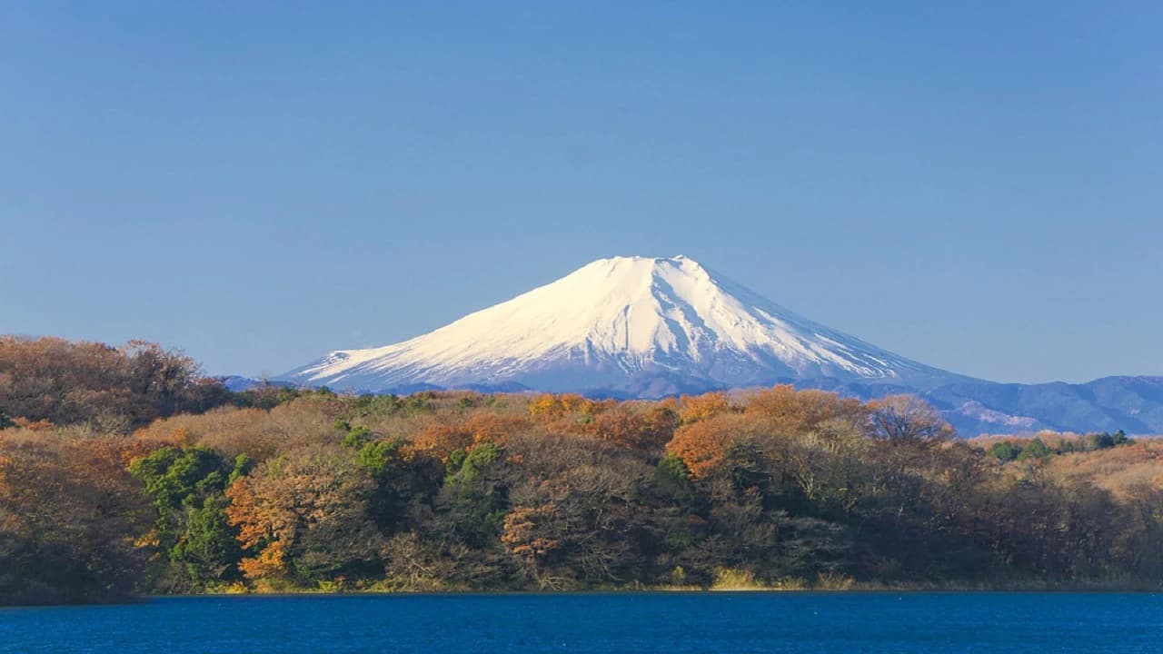 Mount Fuji and Hakone Tour - Photo 2