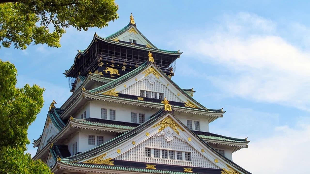 Osaka Amazing Pass with Optional Kansai Airport Transfer - Photo 5