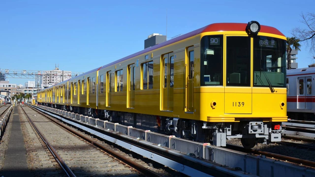Tokyo Subway Ticket: Tokyo Metro and Toei Subway - Photo 3