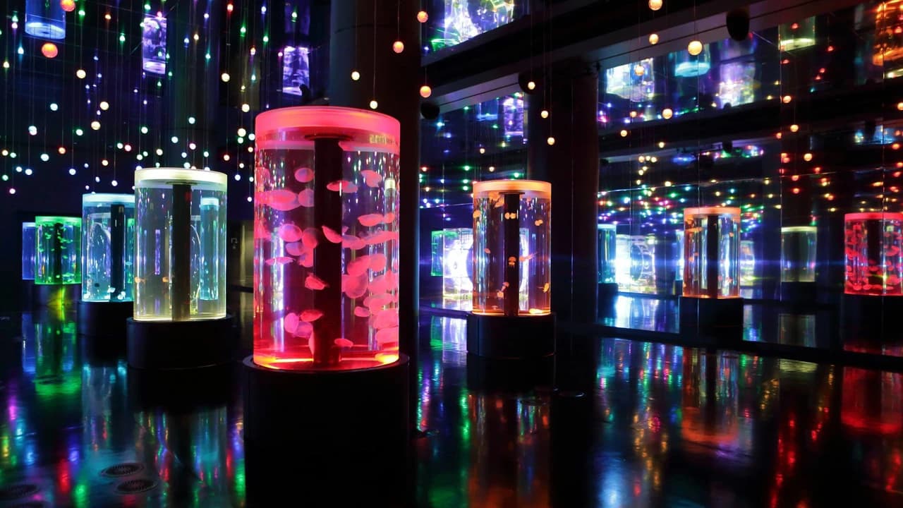 Maxell Aqua Park Shinagawa - Photo 3