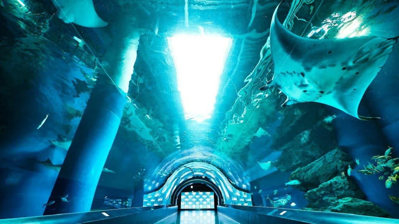 Maxell Aqua Park Shinagawa - Photo 4