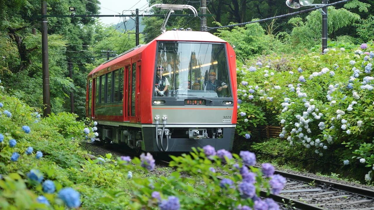Hakone Freepass - Photo 1