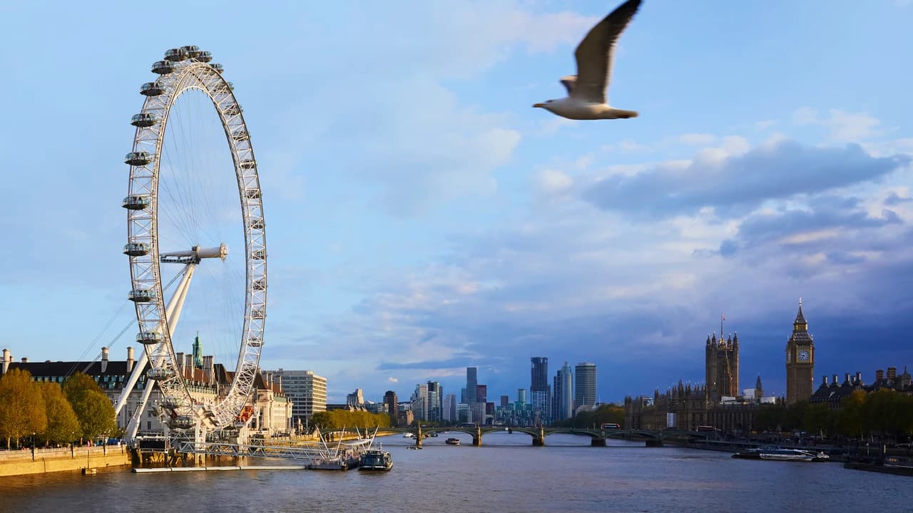 COMBO: London Eye + SEA LIFE London Aquarium Ticket - Photo 1