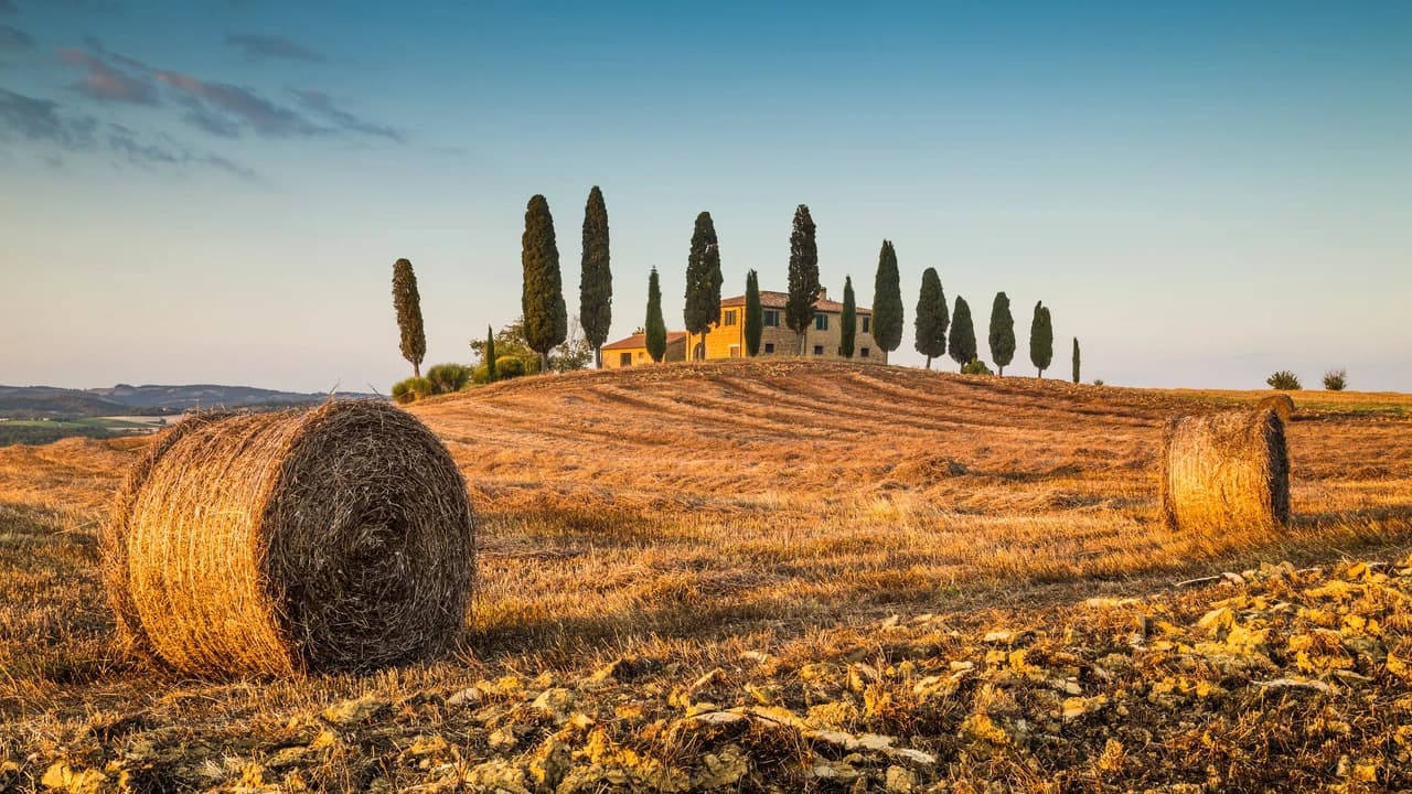 Medieval Tuscany Tour from Florence: Monteriggioni, Montalcino, Pienza - Photo 2