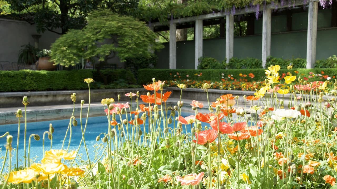 Villa Necchi Campiglio - Photo 2