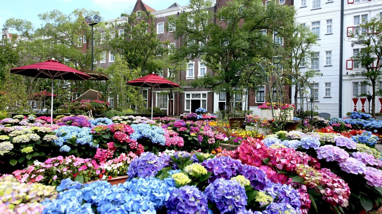 Huis Ten Bosch Theme Park - Photo 5