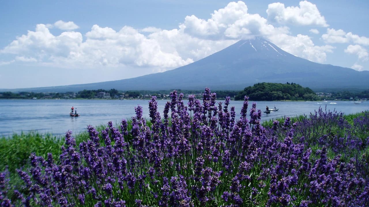 Mount Fuji and Oshino Hakkai Ole Hot Spring Full-Day Tour from Tokyo - Photo 1