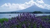 Mount Fuji and Oshino Hakkai Ole Hot Spring Full-Day Tour from Tokyo - image 8