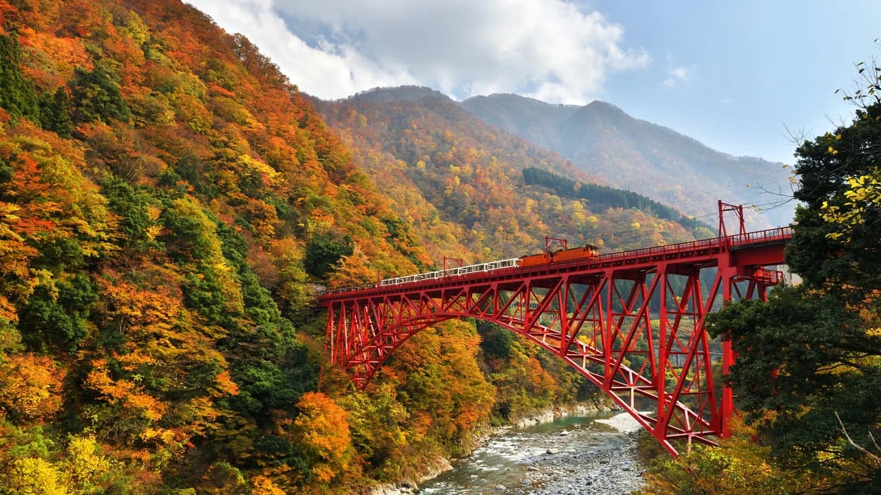 Kurobe Gorge Railway Ticket - Photo 2