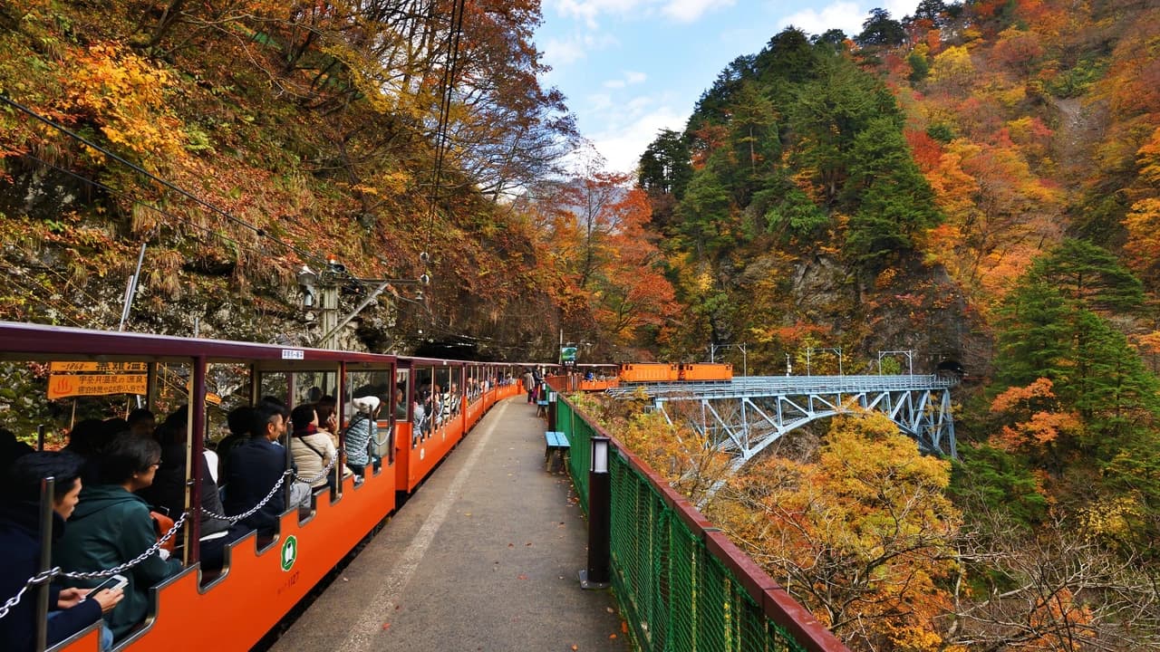 Kurobe Gorge Railway Ticket - Photo 5