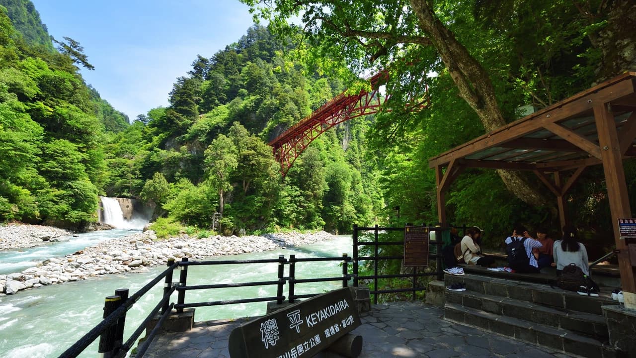 Kurobe Gorge Railway Ticket - image 7
