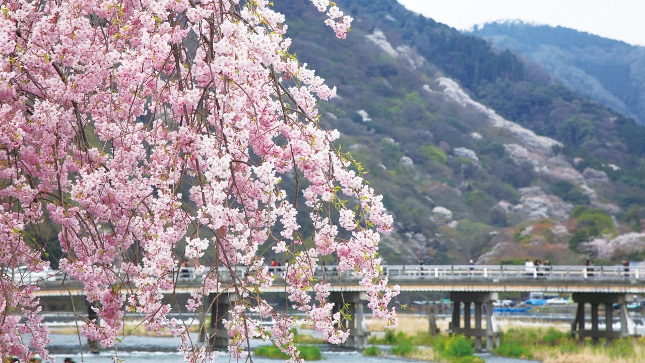 Hankyu One-Day Pass - Photo 3