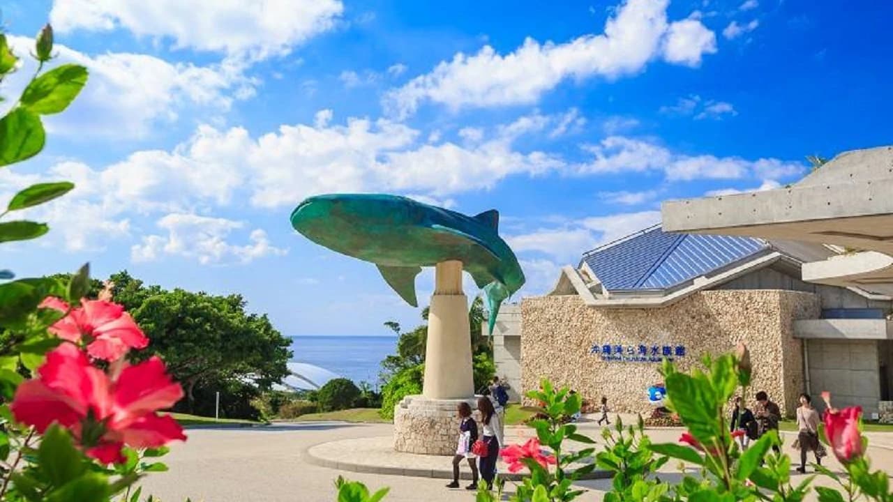 Okinawa Churaumi TokuToku Pass - Photo 1