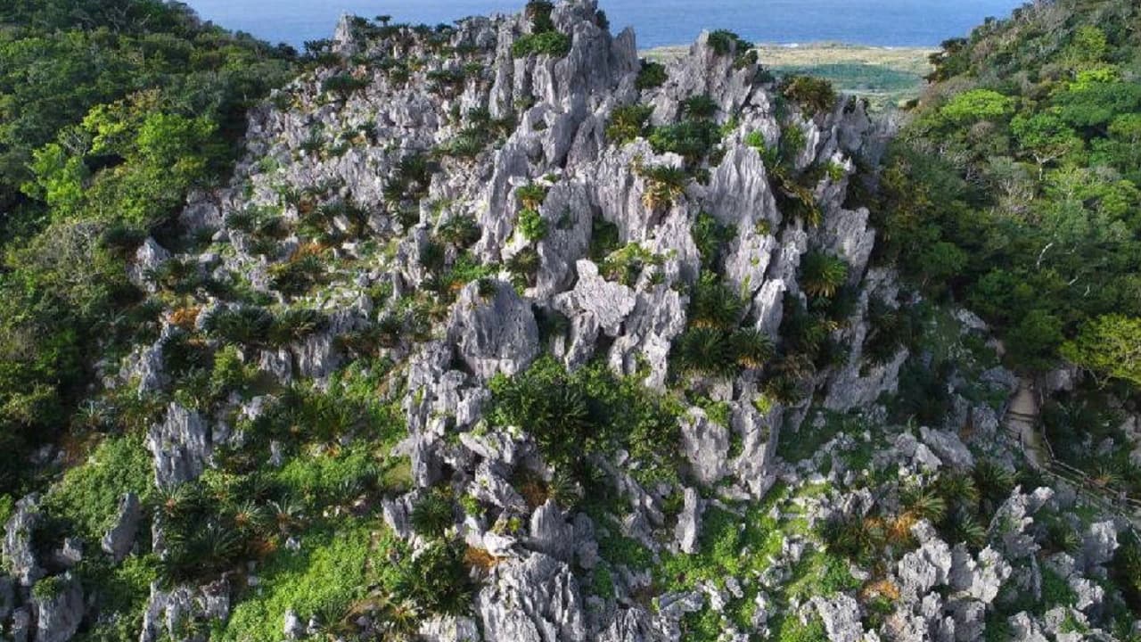Okinawa Churaumi TokuToku Pass - Photo 3