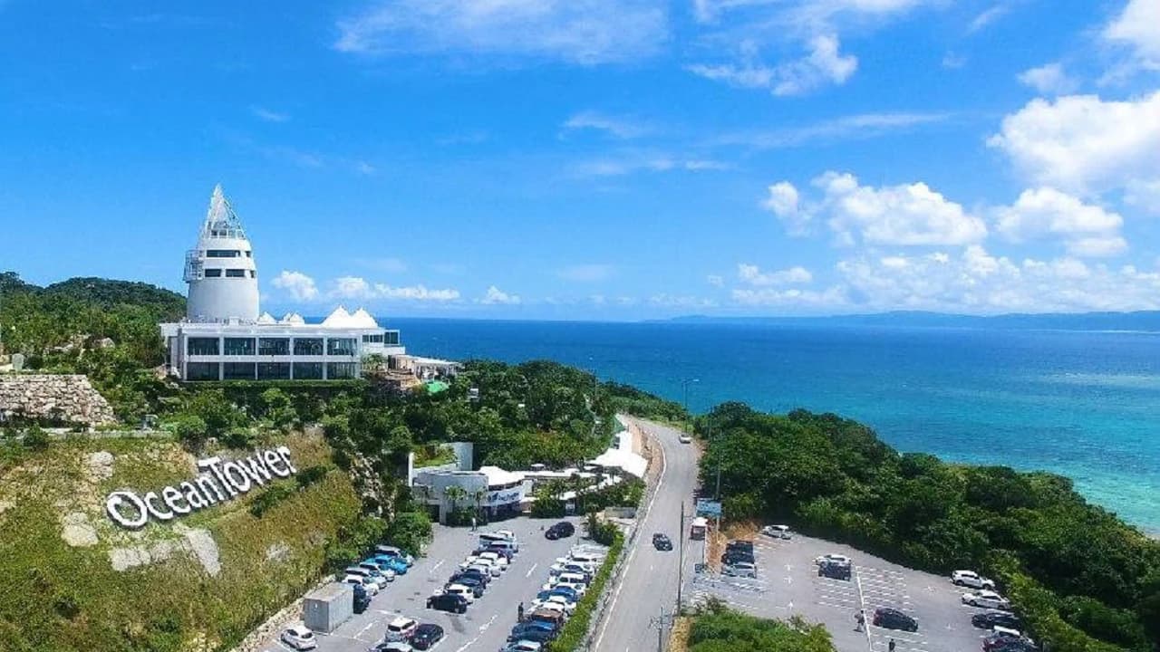 Okinawa Churaumi TokuToku Pass - Photo 4
