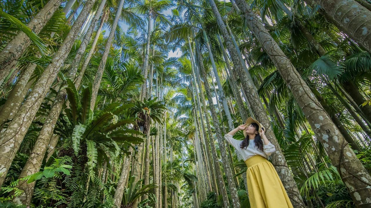 Okinawa Churaumi TokuToku Pass - image 8
