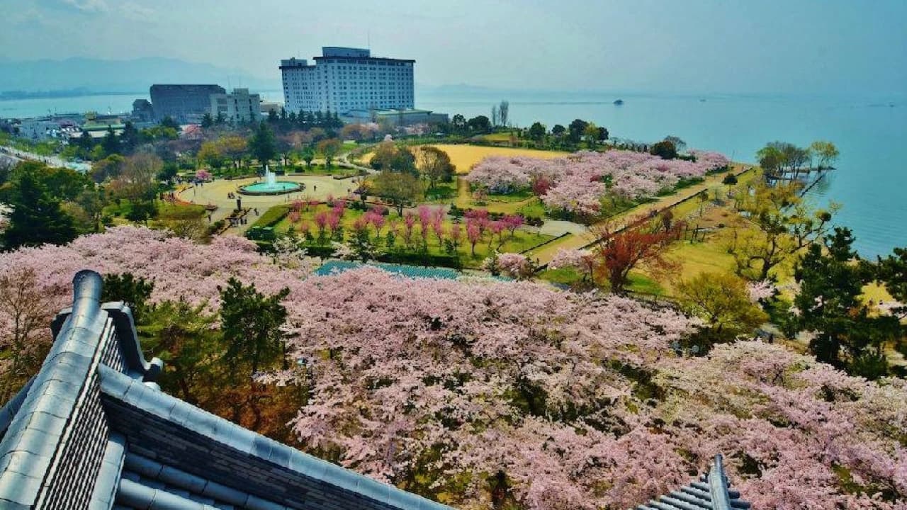 JR Kansai WIDE Area Pass - image 8