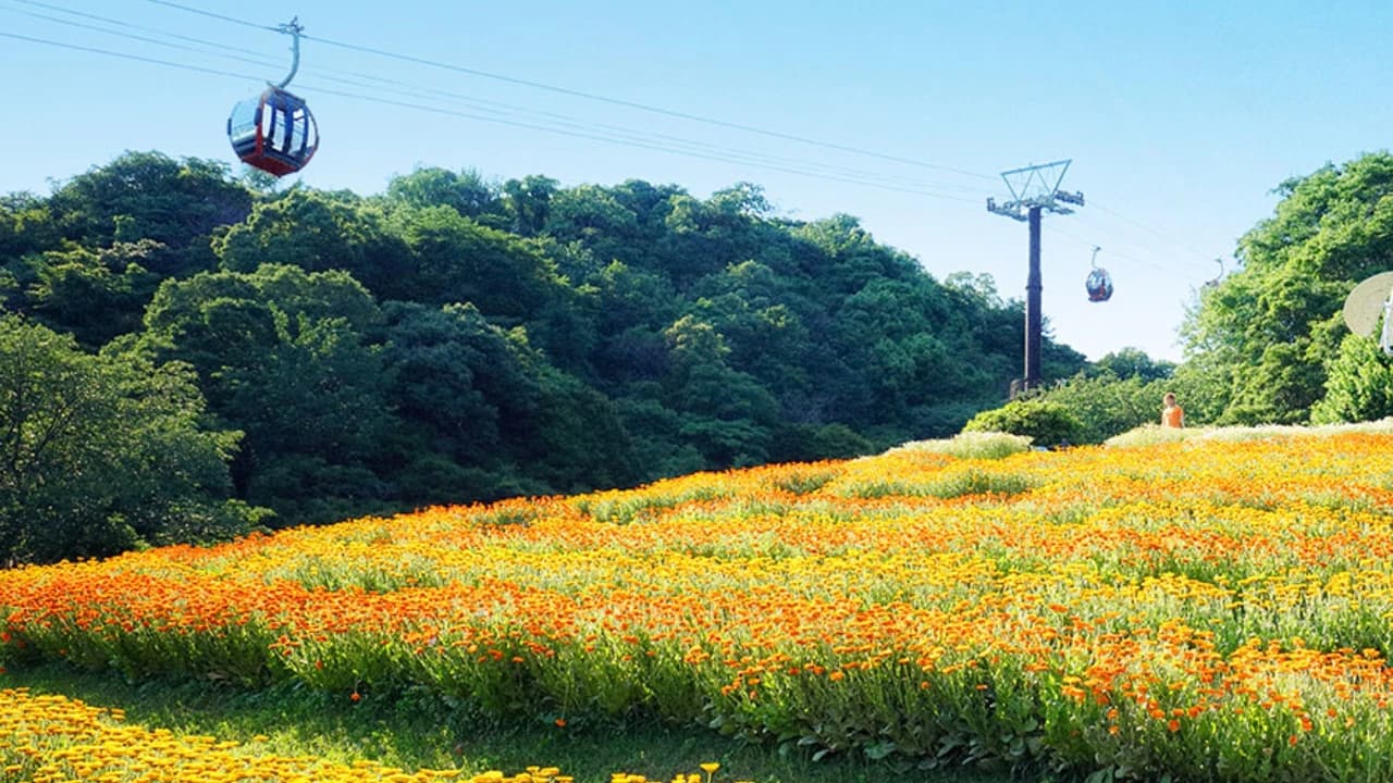 Kobe Nunobiki Herb Gardens and Ropeway Cable Car - Photo 1