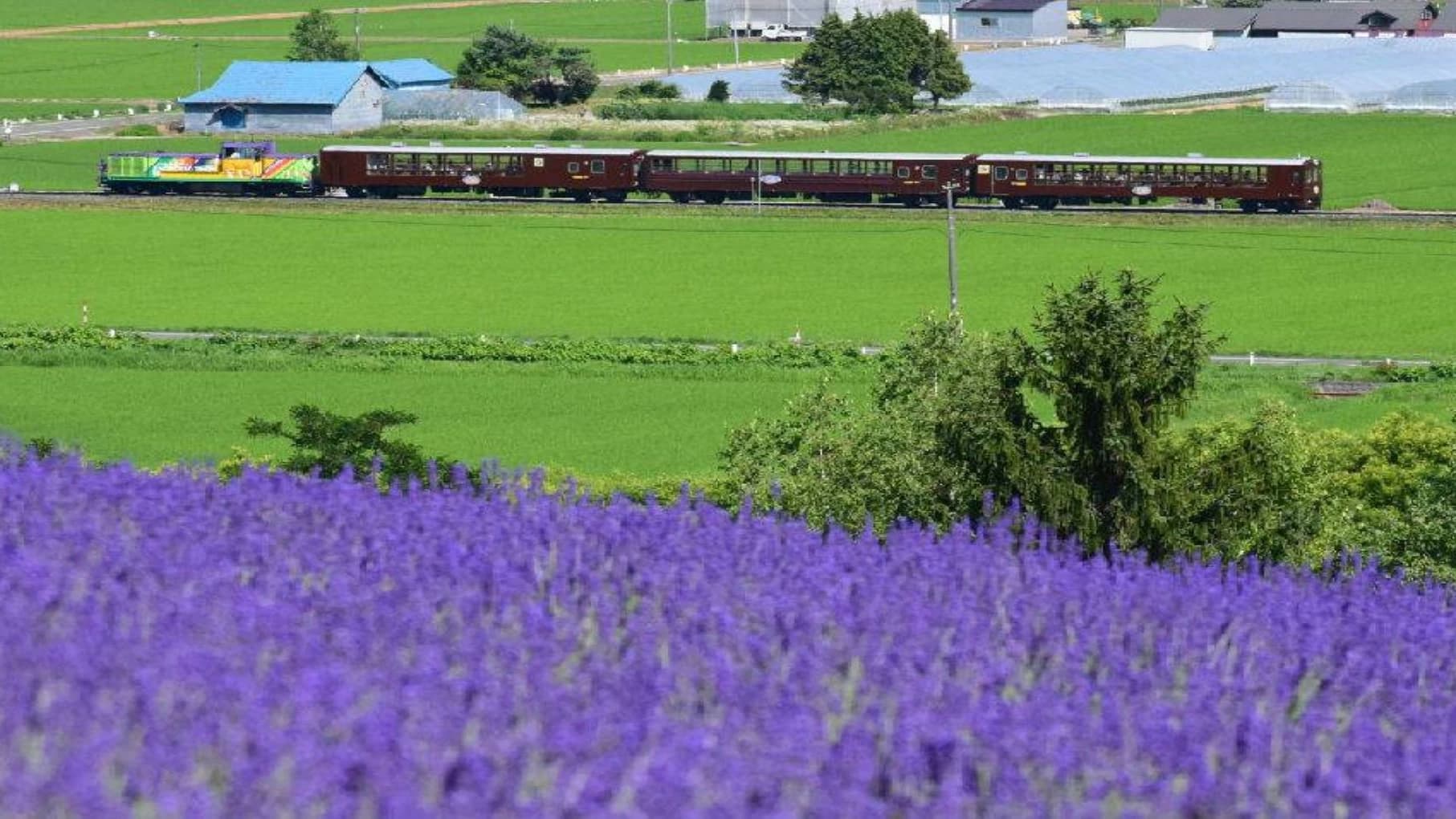 Hokkaido Sapporo-Furano Area Pass - image 8
