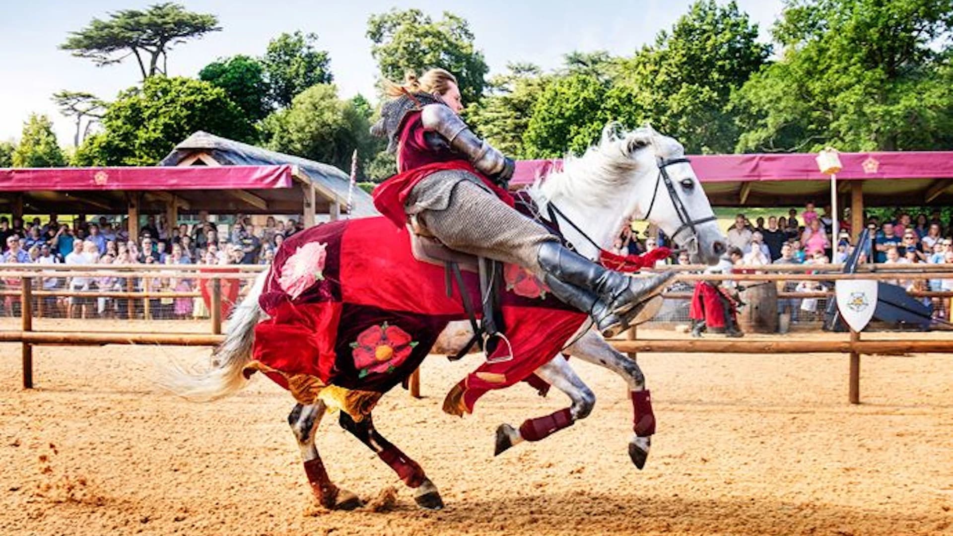 Warwick Castle - image 8