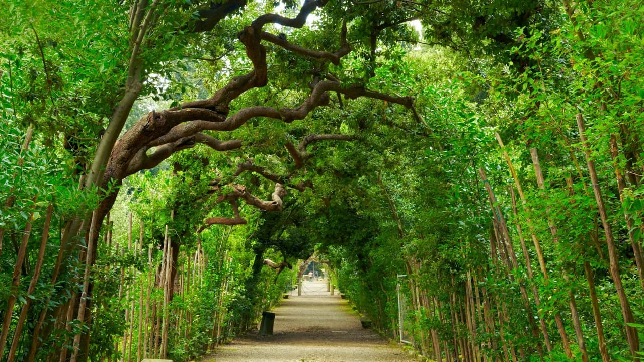 Palazzo Pitti & Boboli Gardens: Reserved Entrance + Florence City Audio Guide - Photo 2
