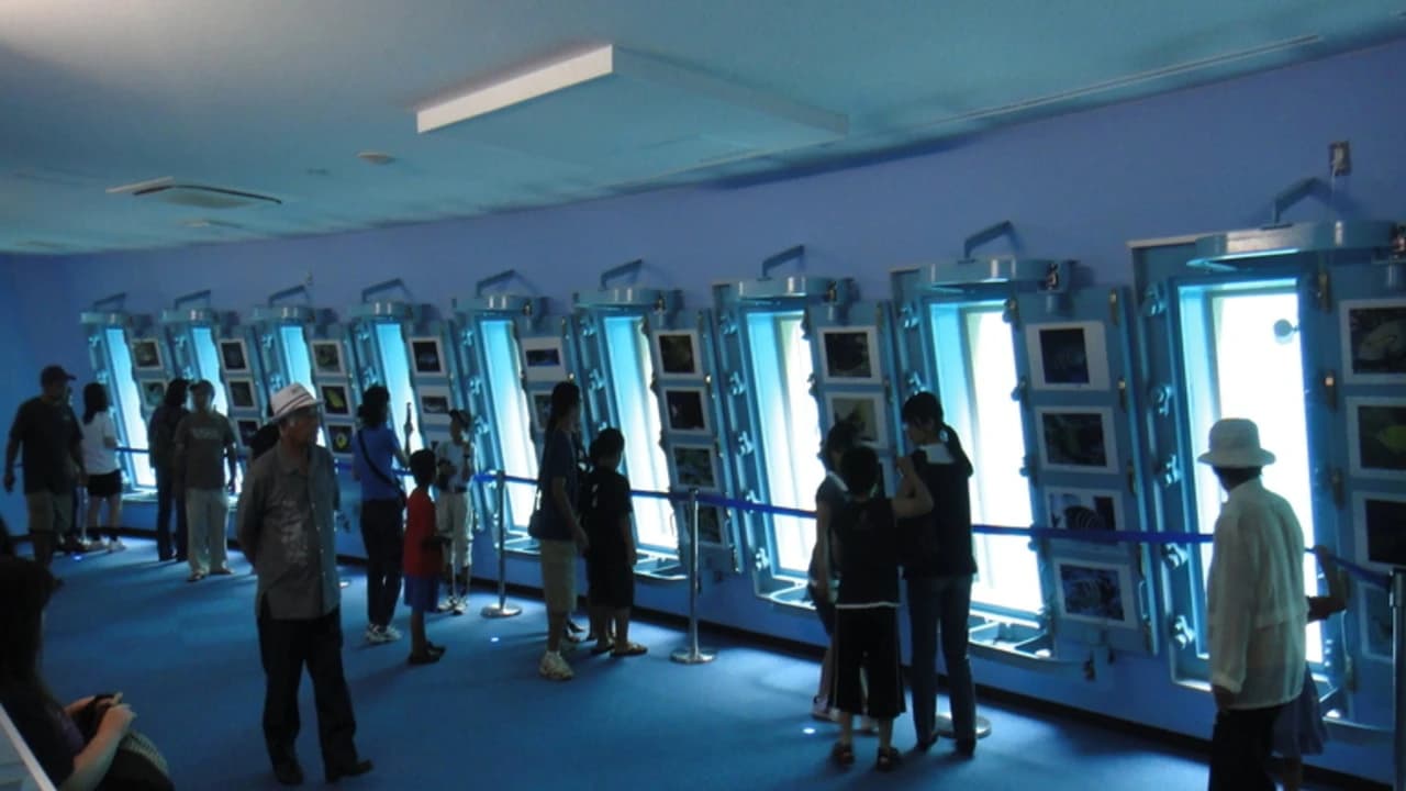 Okinawa Miyakojima Undersea Park - Photo 1