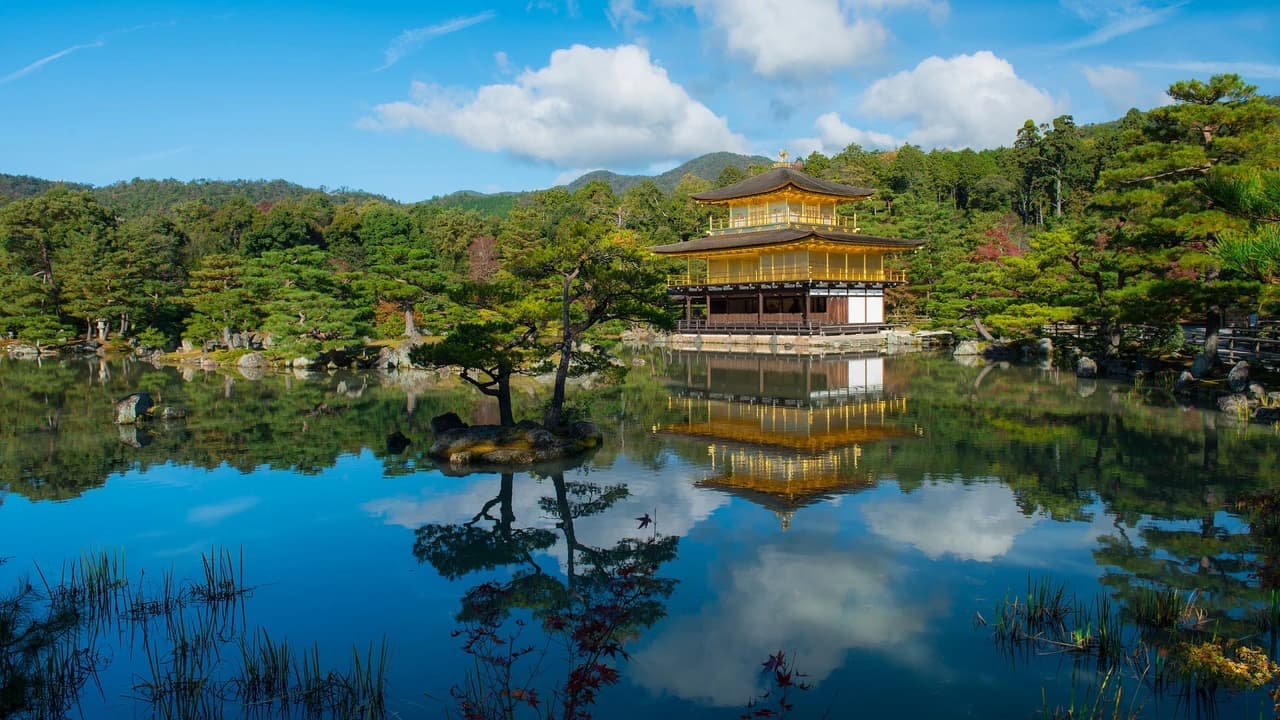 Kyoto and Nara Full-Day Tour from Kyoto - Photo 3