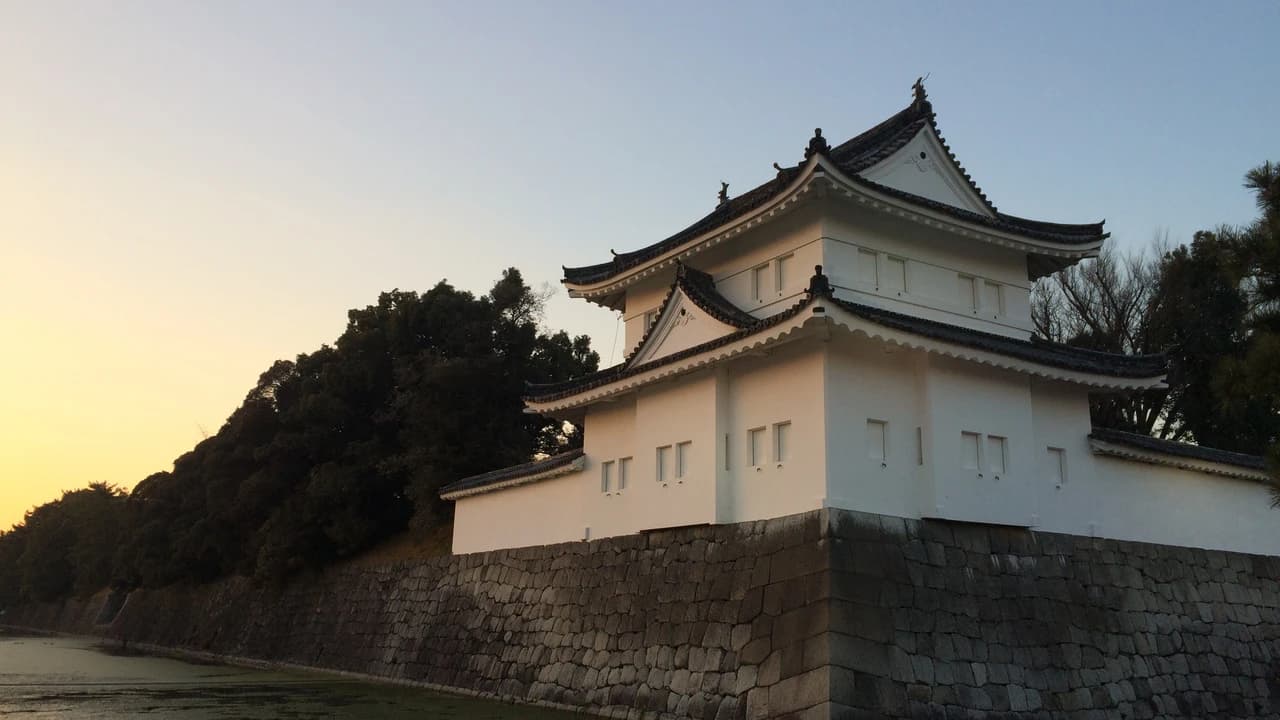 Kyoto and Nara Full-Day Tour from Kyoto - image 8