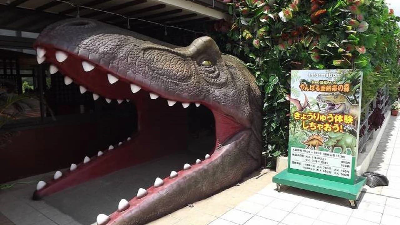 Okinawa Dino Park Yanbaru Subtropical Forest Ticket - Photo 2