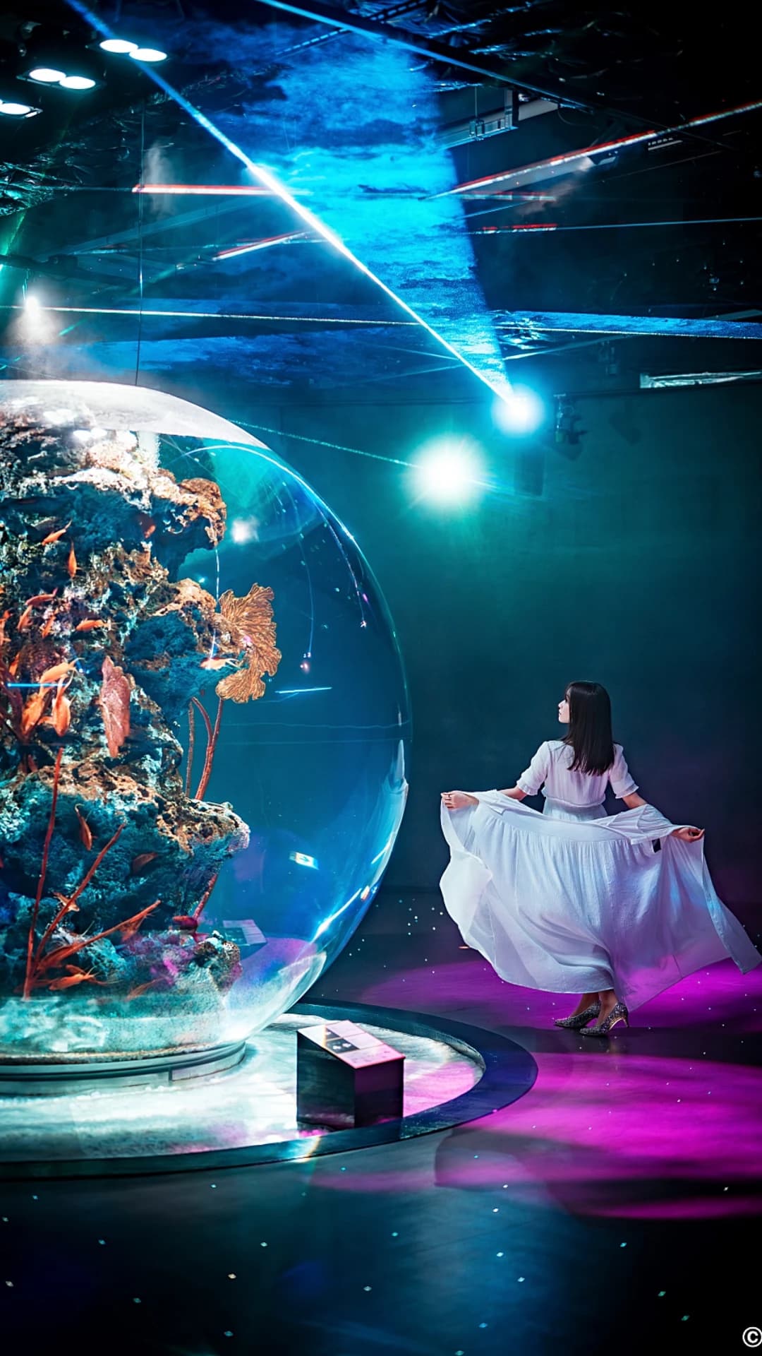 Kobe Urban AQUARIUM×ART atoa - image 8
