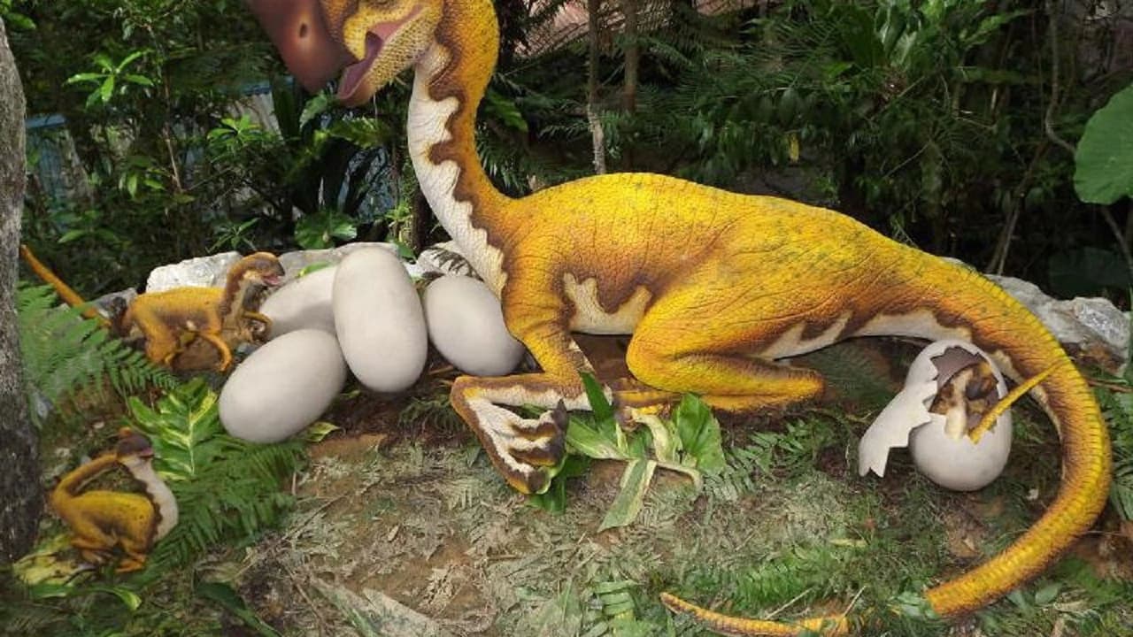 Okinawa Dino Park Yanbaru Subtropical Forest Ticket - Photo 4
