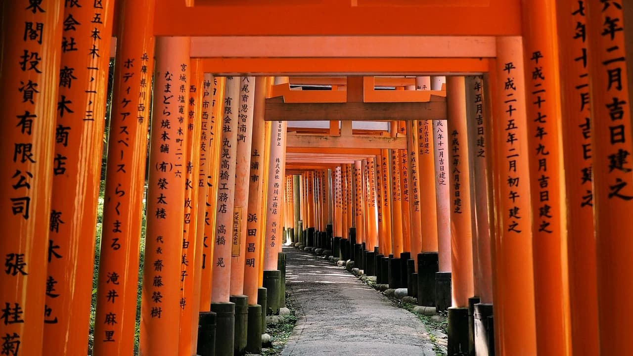 Kyoto Tour from Osaka - image 7