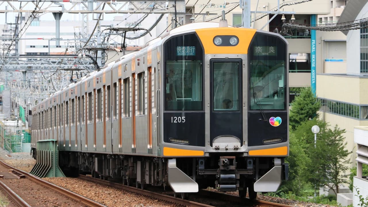 Kansai Railway Pass Lite - Photo 3