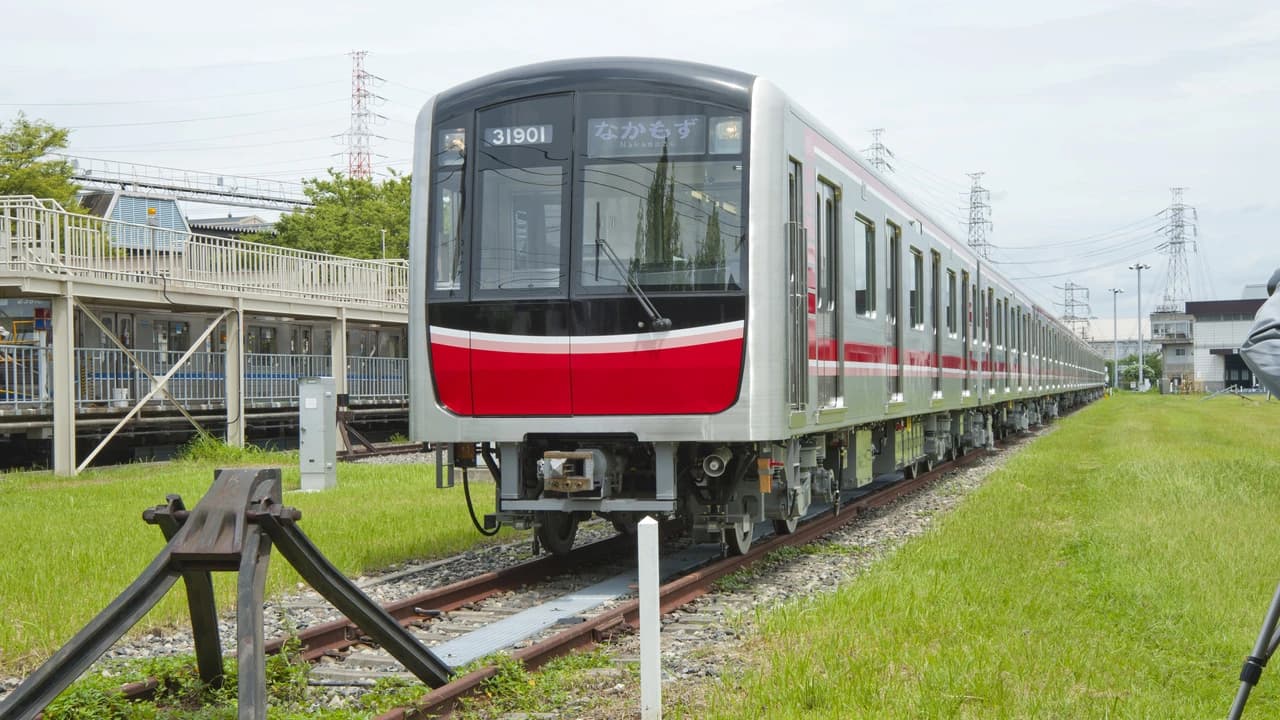 Kansai Railway Pass Lite - image 7