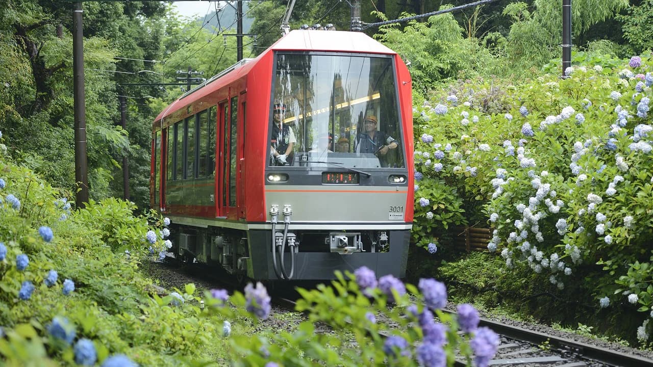 Hakone Kamakura Pass - Photo 5