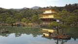 Nijo Castle, Kinkaku-ji Temple and Imperial Palace Tour from Kyoto - image 8