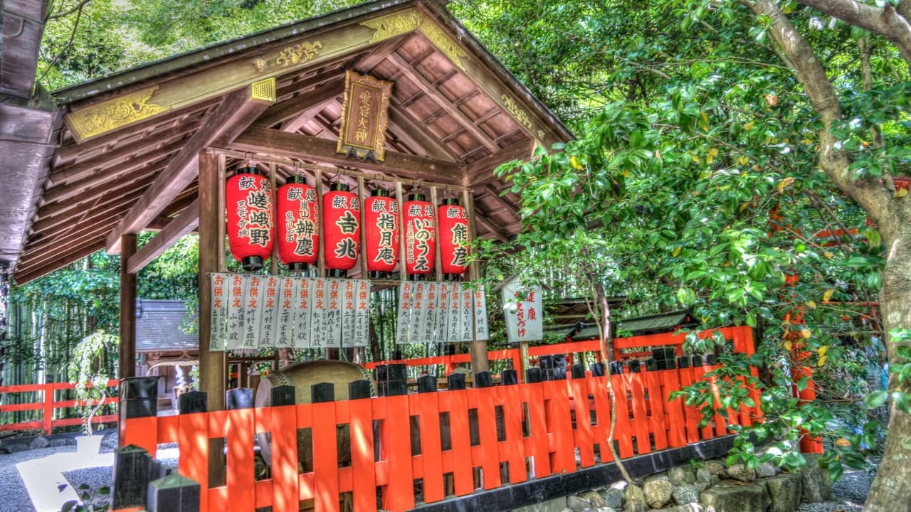 Sagano Bamboo Grove and Arashiyama Half-Day Walking Tour - Photo 5