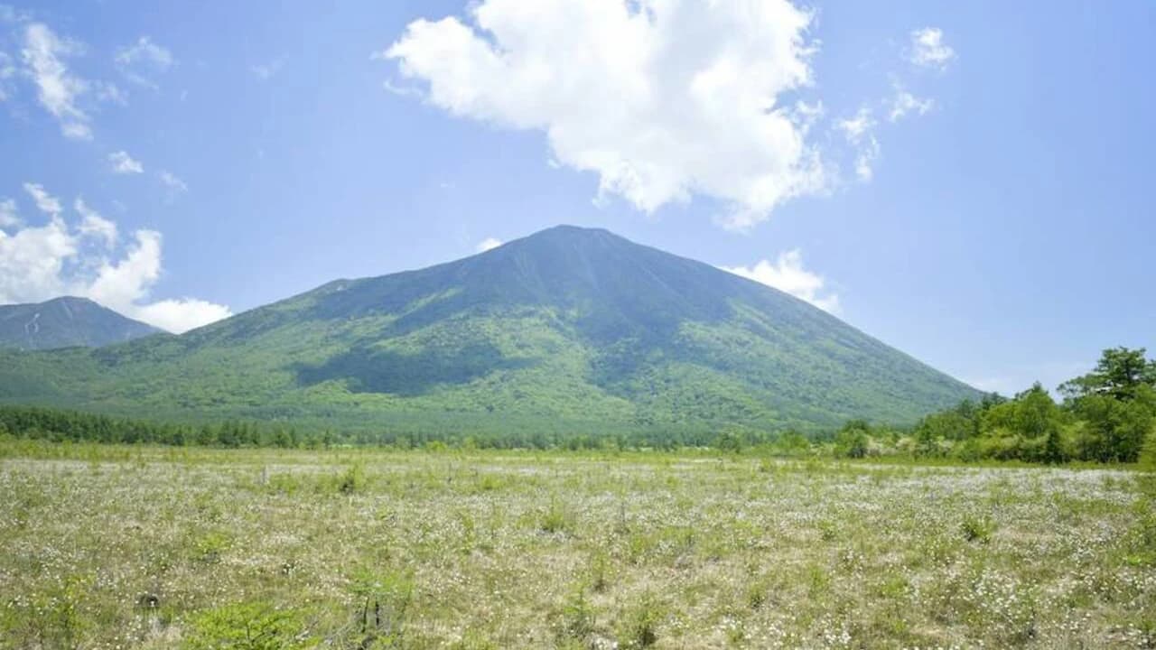 Nikko Pass All Area - Photo 5