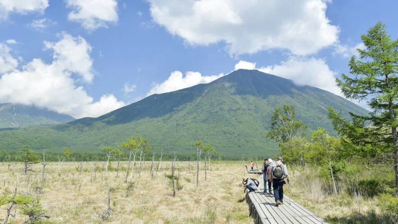Nikko Pass All Area - image 6