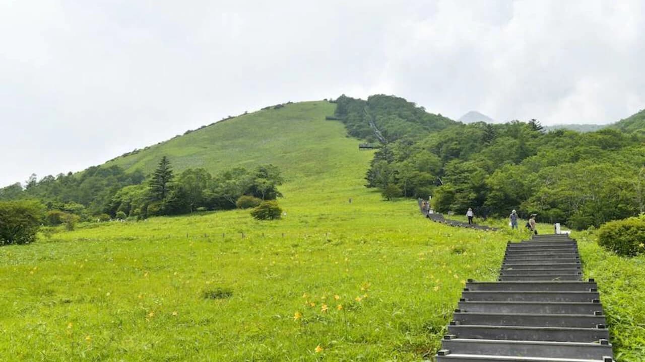 Nikko Pass All Area - image 7