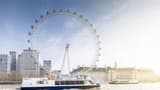 Afternoon Tea Cruise on the River Thames - image 8